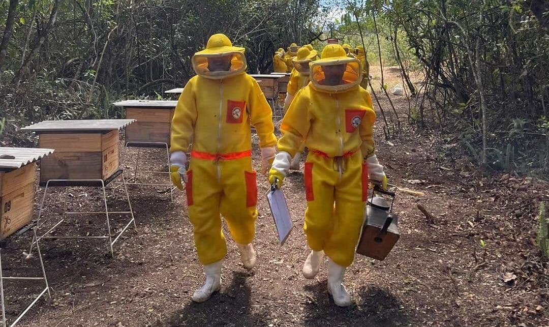 Projeto Apicrim UFOP.jpg