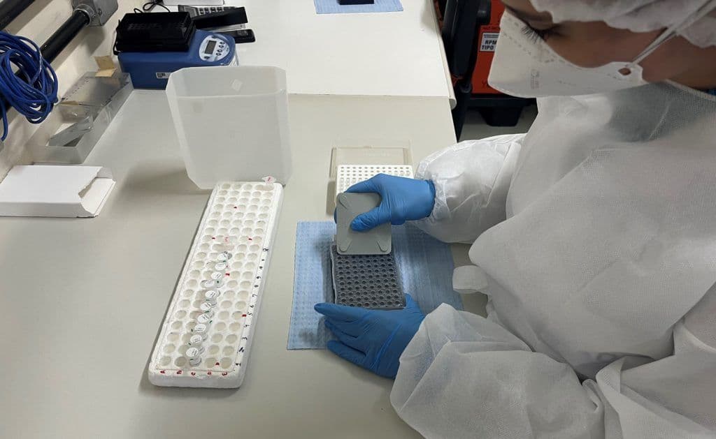 Técnica-de-RT-PCR-realizada-para-as-arboviroses
